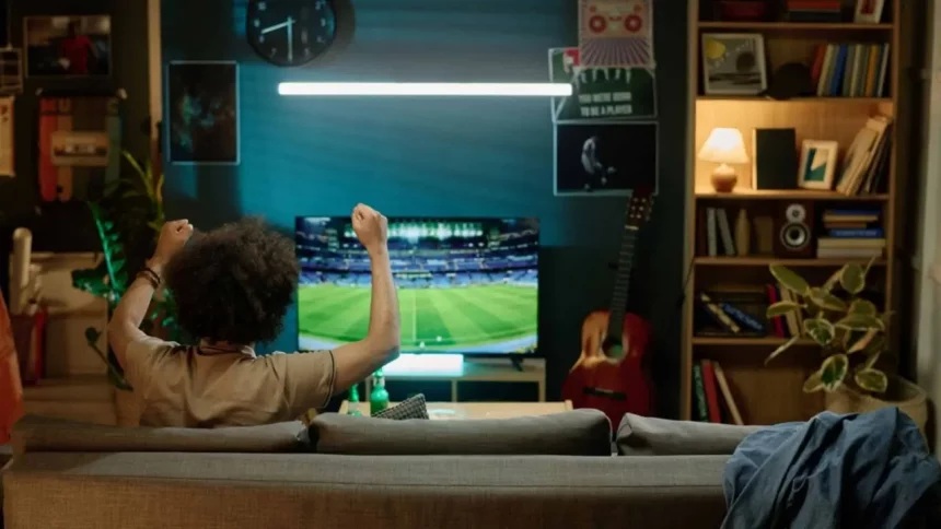 Pessoa Assistindo A Um Jogo De Futebol - Imagem: Annastills/Shutterstock