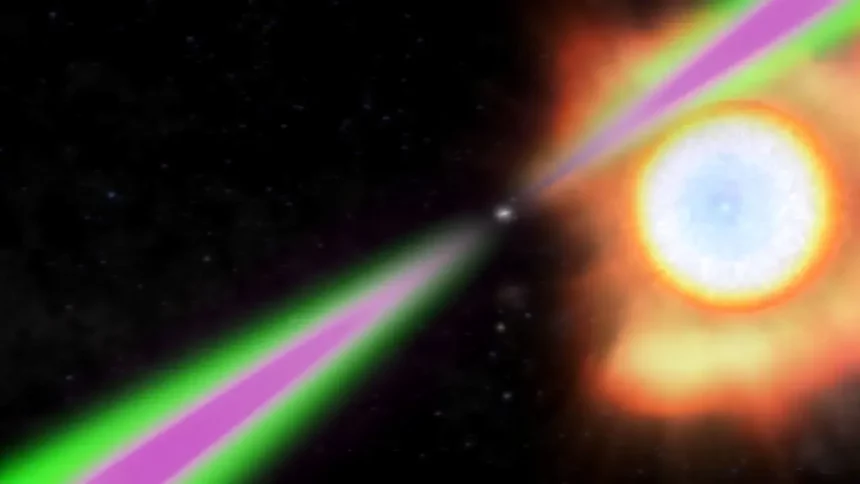 Ilustração De Um Sistema &Quot;Viúva Negra&Quot;. Nesse Caso, Um Pulsar Rouba A Matéria De Seu Astro Vizinho Para Conseguir Energia. O Exemplo Encontrado Pelos Pesquisadores, A 750 Anos-Luz Da Terra, É Único E Desafia A Astronomia. (Imagem: Nasa Goddard Spaceflight Center / Cruz Dewilde)