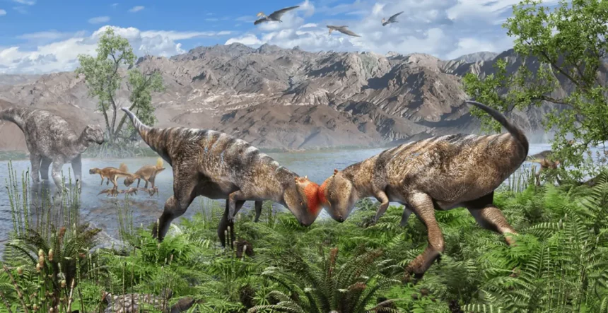 Dinossauros Usavam O Domo Para Comportamentos Sociosexuais (Imagem: Masaya Hattori/Divulgação)
