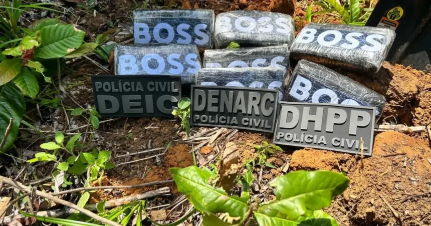 Foto: Divulgação / Polícia Civil