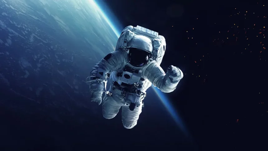 (Imagem: Vadim Sadovski/Shutterstock)