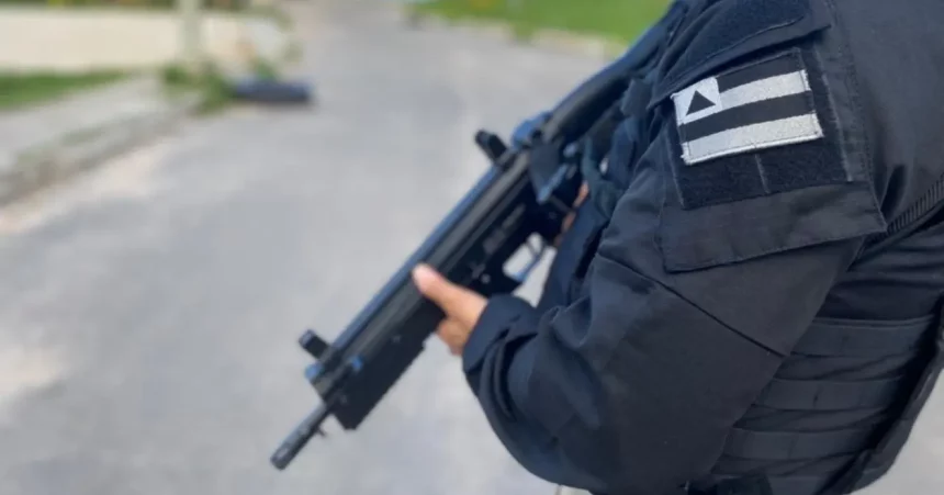 Foto: Divulgação / Polícia Civil