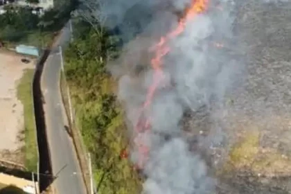 Foto: Reprodução / Globoplay