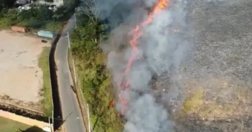 Foto: Reprodução / Globoplay