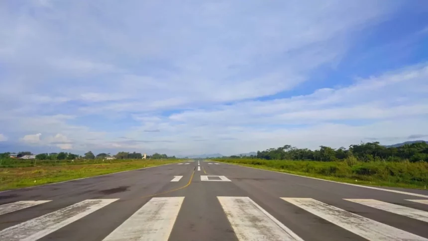 Faixas Brancas Paralelas Em Uma Pista De Aeroporto - Imagem: Anna.kateryna/Shutterstock
