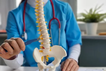 Novidade Abre Caminho Para A Regeneração Da Medula Espinhal (Imagem: Nmk-Studio /Shutterstock)