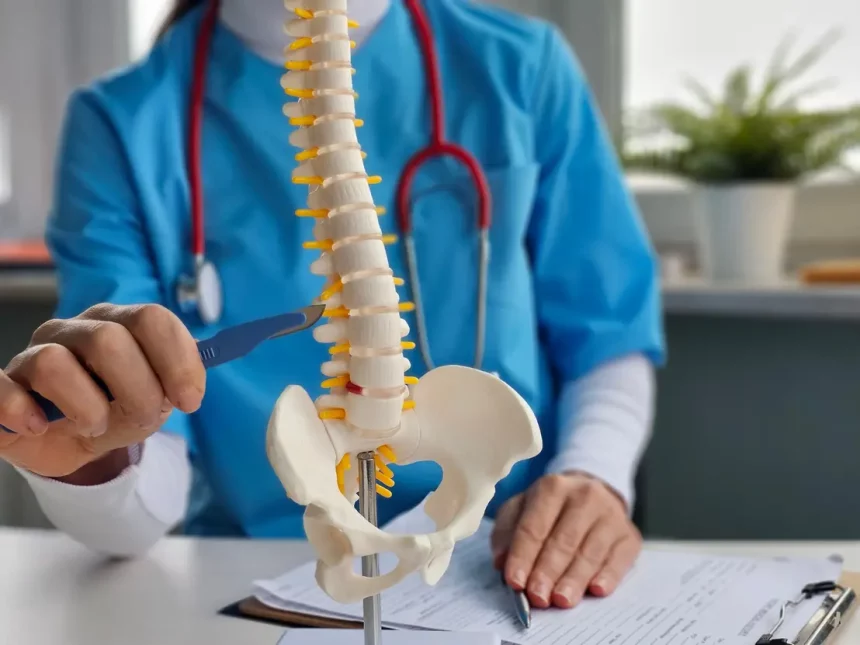 Novidade Abre Caminho Para A Regeneração Da Medula Espinhal (Imagem: Nmk-Studio /Shutterstock)