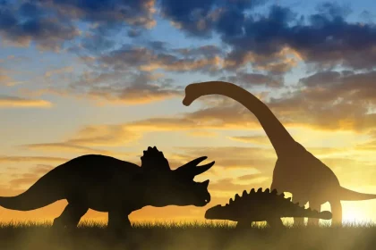 Dinossauros Viviam Menos Que Animais Como Elefantes E Baleias, Segundo Pesquisador. (Imagem: Jaroslava V / Shutterstock)