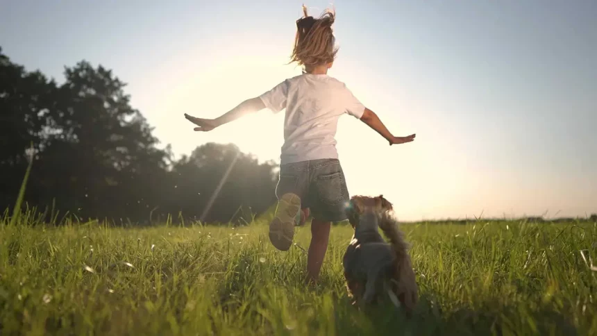 Imagem: Maxim Ibragimov/Shutterstock