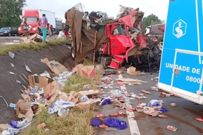 Duas Pessoas Morrem Após Batida Entre Caminhões Na Br-116. ​