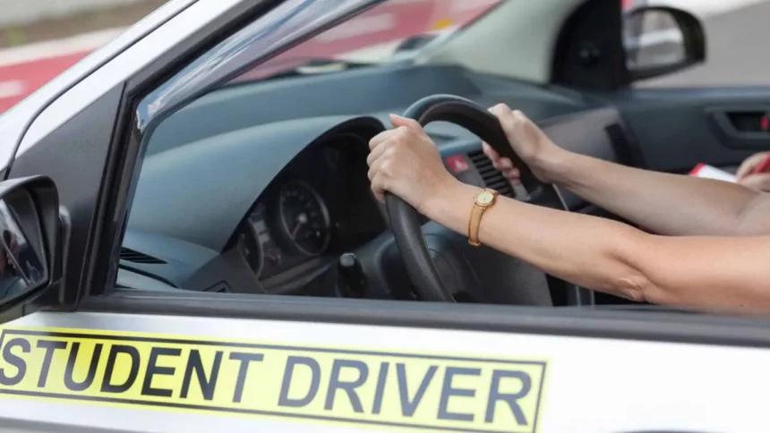 Aluno Em Um Carro De Autoescola - Wellphoto/Shutterstock