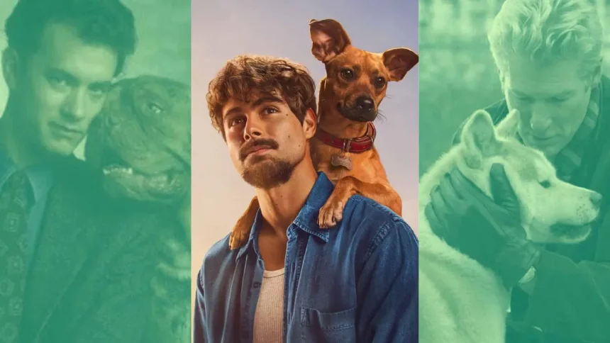 Filmes Do Cachorro: Uma Dupla Quase Perfeita, Caramelo E Sempre Ao Seu Lado (Divulgação/Reprodução)