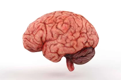 Imagem: Edit 4 Me/Shutterstock