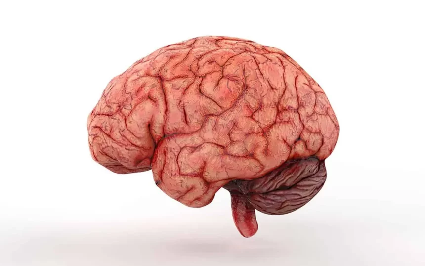 Imagem: Edit 4 Me/Shutterstock