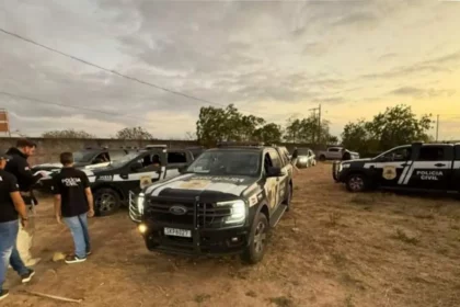 Foto: Reprodução / Polícia Civil