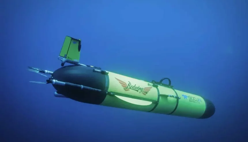 Imagem: Reprodução/Teledyne Marine