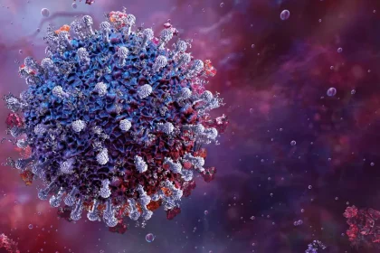 Segundo Os Pesquisadores, O Achado Indica Uma Possível Evolução Viral Natural Entre Esses Animais (Imagem: Corona Borealis Studio/Shutterstock) Segundo Os Pesquisadores, O Achado Indica Uma Possível Evolução Viral Natural Entre Esses Animais (Imagem: Corona Borealis Studio/Shutterstock)