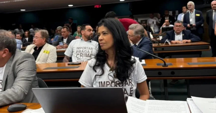 Foto: Reprodução / Arquivo Pessoal