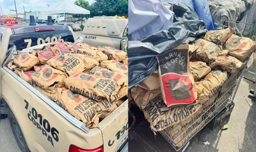 Carvão Estava Sendo Comercializado Irregularmente Na Capital Baiana.