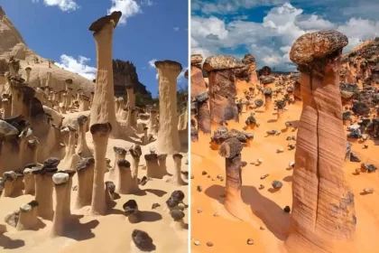 Estruturas Froam Encontradas Em Goiás (Imagem: Divulgação/Joana Paula Sánchez)