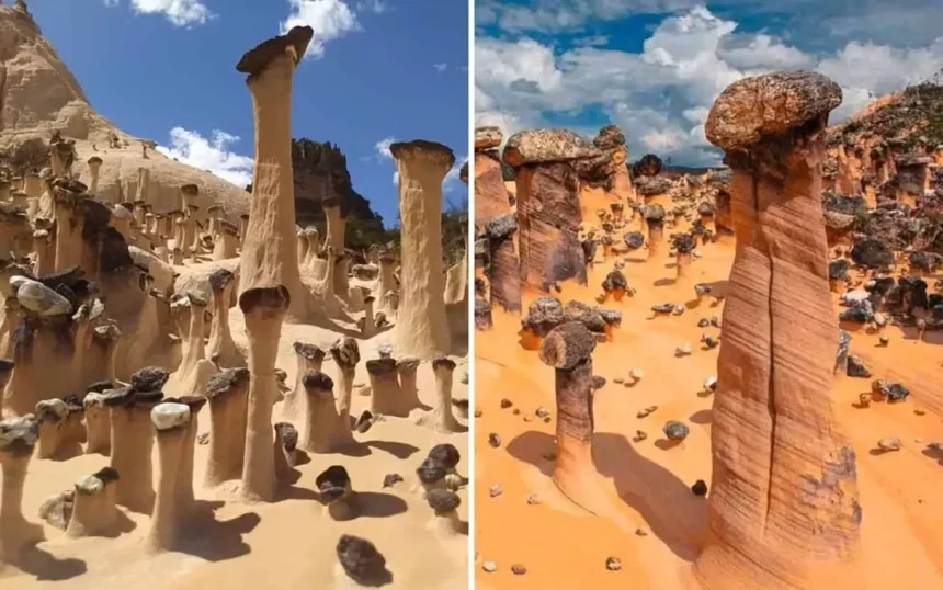 Estruturas Froam Encontradas Em Goiás (Imagem: Divulgação/Joana Paula Sánchez)