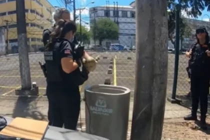 Foto: Divulgação