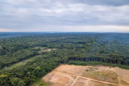 Queda Da Taxa De Desmatamento Da Amazônia Em 2023 Reduziu A Poluição Climática. (Imagem: Paralaxis / Shutterstock.com)