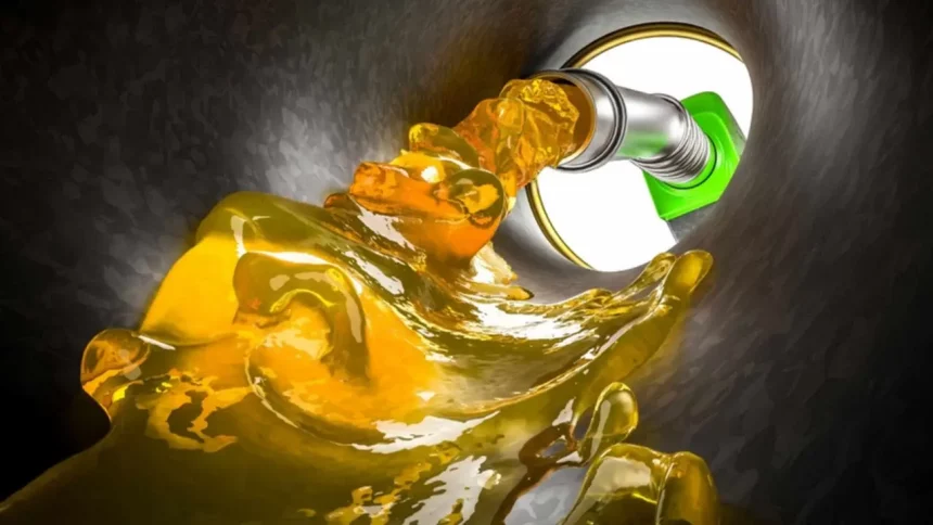 Gasolina Sendo Colocada No Tanque De Um Carro - Imagem: Gualtiero Boffi/Shutterstock