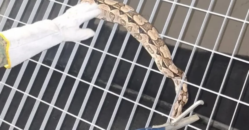 Foto: Pm / Ba Foto: Pm / Ba