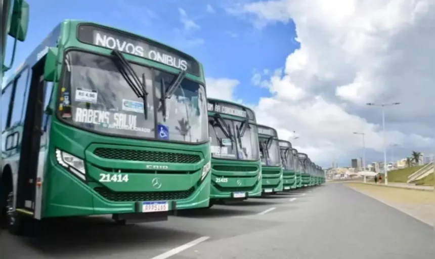 Salvador Ganha Três Novas Linhas De Ônibus.