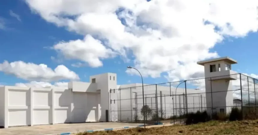 Foto: Imamgem Ilustativa. Reprodução / Radar News Foto: Imamgem Ilustativa. Reprodução / Radar News