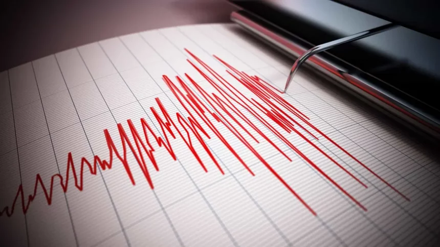 Leitura Gráfica De Uma Onda De Choque Causada Por Terremotos (Imagem: Destinadesign/Shutterstock)