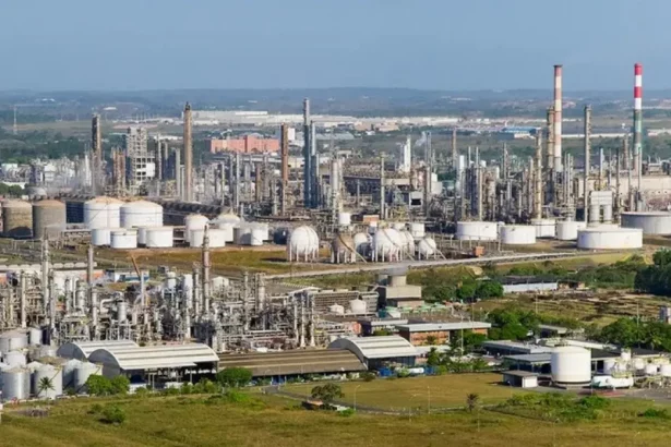 Foto: Divulgação / Cofic