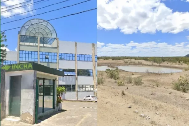 Fotos: Montagem / Bahia Notícias