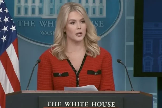 Foto: Reprodução / Redes Sociais