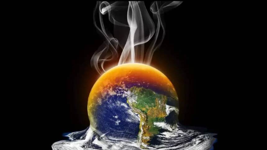 Imagem: Barnaby Chambers/Shutterstock