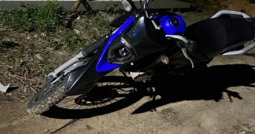 Foto: Divulgação / Polícia Civil