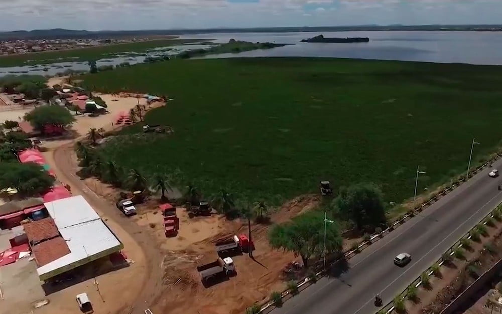 Paulo Afonso:mais De 400 Toneladas De Baronesas São Retiradas De Prainhas E Deixam Alerta Sobre Poluição Do Rio São Francisco