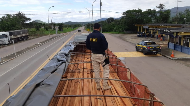 Prf Apreende Madeira Nativa Transportada Ilegalmente No Norte Da Bahia